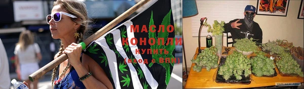 индика Нягань