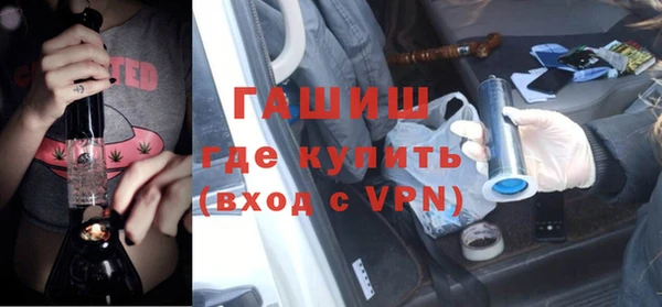 индика Нягань
