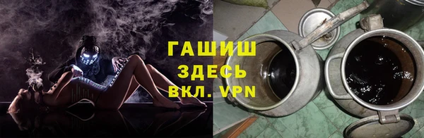 индика Нягань