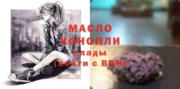индика Нягань