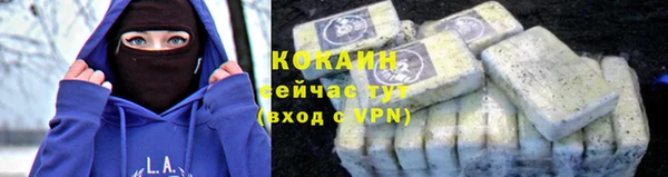 твердый Новодвинск