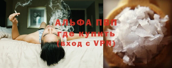 индика Нягань