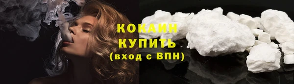 твердый Новодвинск