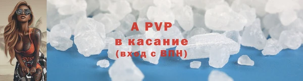 индика Нягань