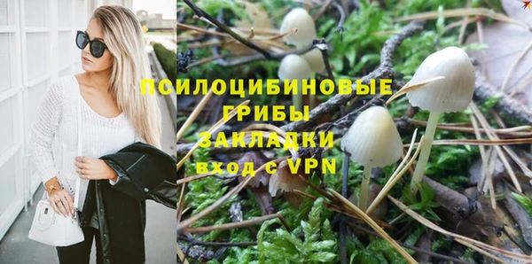 индика Нягань
