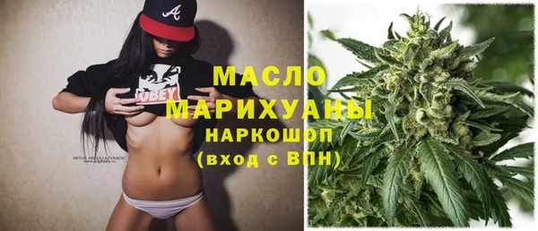 твердый Новодвинск