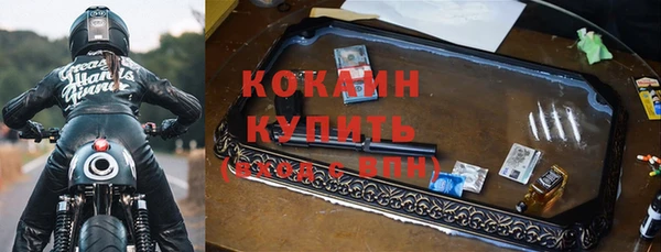 ALPHA PVP Няндома