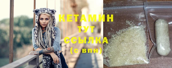 индика Нягань