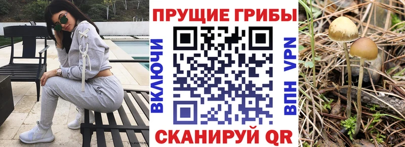 Псилоцибиновые грибы Psilocybe  мега маркетплейс  Майский 