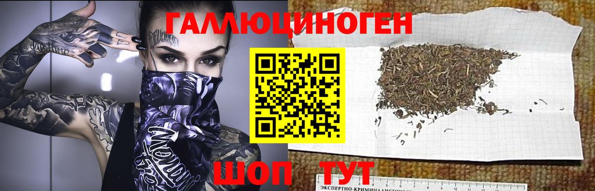 Галлюциногенные грибы GOLDEN TEACHER Майский
