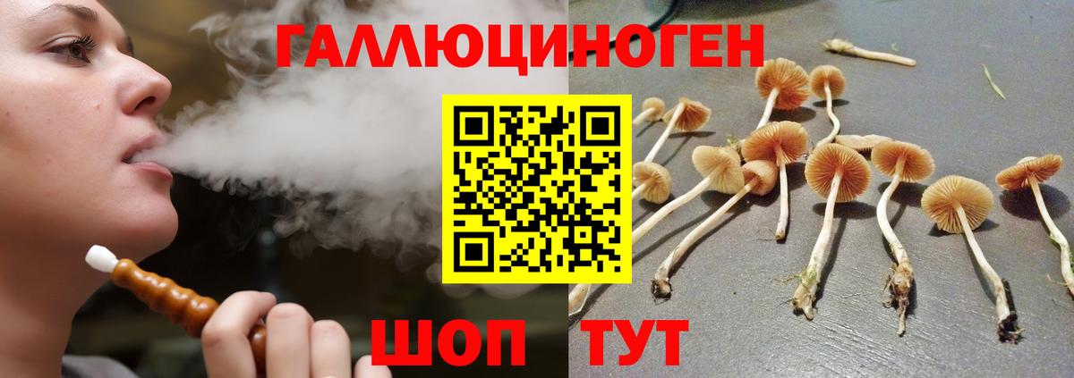 хочу   Вход с VPN  Майский  Псилоцибиновые грибы GOLDEN TEACHER 