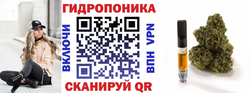 omg как зайти  Майский  Каннабис сатива 